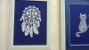 DSC_7671.thumb.JPG.cbd637a40cd657104a5f86a7ae1b65a6.JPG