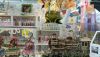 DSC_7681.thumb.JPG.e2534b18268b2b4bc0b837660fdc6f23.JPG