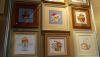 DSC_7697.thumb.JPG.51e8eb58eb39f7239593bda59bd63ca6.JPG