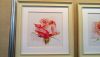 DSC_7700.thumb.JPG.24ce4be17a6d98c08483eef332a64b2e.JPG