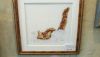 DSC_7712.thumb.JPG.9e2a6ddcb90a87cf2d44f354e5fa0ad8.JPG