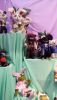 DSC_7790.thumb.JPG.2a892ffa48dbb11621ae8545db92c2fb.JPG