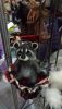 DSC_7792.thumb.JPG.2fb09d100fdd7b35c413b4e58451919b.JPG