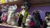 DSC_7795.thumb.JPG.7600410bfc5148c1def53ad241731ae9.JPG