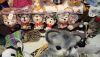 DSC_7798.thumb.JPG.46d3c2c0aa66f16811afbe2c78831295.JPG