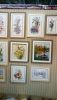 DSC_7817.thumb.JPG.4c5ba942fe419fed70769ca1ad3af9fb.JPG