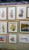 DSC_7819.thumb.JPG.b4e2d58d0e5036eed50e735f7539f2e8.JPG