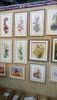 DSC_7821.thumb.JPG.3230aaf6ad98d1bb5da95e15065b0745.JPG
