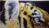 DSC_7834.thumb.JPG.3113c0059a2487006f213a9066afee58.JPG