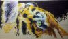 DSC_7835.thumb.JPG.1711533b32300f69b006678eeb870675.JPG