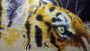 DSC_7840.thumb.JPG.9602cfe6cd5e6e78b12f9972d59b9231.JPG