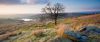 Haworth-moor.jpg.50bf71738297d2b59bf10dff6e9c6e2c.thumb.jpg.7bba763420fd37f5bcd5765b57abe6af.jpg