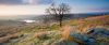 Haworth-moor.thumb.jpg.9cc5169900f5b68e33bba1cd3205e17a.jpg