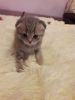 IMG-20180127-WA0016.thumb.jpg.e3e2b2e0c2d3e436ba448fb05df08031.jpg