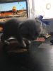 IMG-20180129-WA0005.jpg