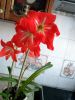 IMG-20180226-WA0000.jpg