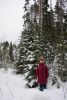 IMGP5193.thumb.JPG.d61411b6204563b3d353071f9f6f7d4b.JPG