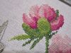 IMG_1108.thumb.JPG.2d064f981e7e0680a41f7b479178fbf0.JPG
