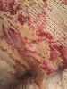 IMG_20180114_105651_HHT.thumb.jpg.038f5cf9b231c21e6f153adc6a0567dc.jpg