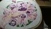 IMG_20180202_233720.thumb.jpg.271c3420373223be515553c5b018b254.jpg?1517604017857