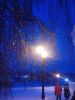 IMG_20180204_172750.thumb.jpg.a440642ceac149db560654f387293e9f.jpg