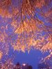 IMG_20180204_173439.thumb.jpg.cd7bcf481002608ba561671e8d98b1da.jpg