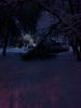 IMG_20180205_074956.thumb.jpg.a1102acb4db4fcbc37d6fccaa2ef9e34.jpg