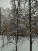 IMG_20180205_095240.thumb.jpg.6333b09dca8e9a058effbc716faa3abc.jpg
