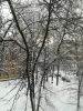 IMG_20180205_095308_BURST001_COVER.thumb.jpg.b404f6c12e6175799ecf434366d9a7b8.jpg