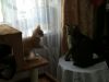 IMG_20180208_113144.thumb.jpg.9c58f8907e684d3dd6310ac09b2a4864.jpg