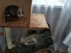 IMG_20180209_105820.thumb.jpg.8cb068b3e7c0226dabb13fcd96b97d6f.jpg