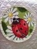 IMG_20180219_150256.jpg