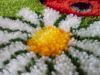 IMG_20180219_150355.jpg