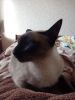 IMG_20180225_103300.thumb.jpg.0063771f3a7928212785b28e27585247.jpg
