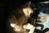IMG_4902.thumb.JPG.db6038491b0685a1d84010c418a4bc3f.JPG