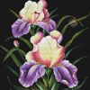 Irises.jpg.bb9e014ddc4afc76ceacea4a97a3e4ac.thumb.jpg.abc9b061860d893221619ed0a4746f55.jpg
