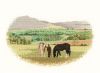 JCGN862-Green_Pastures.thumb.jpg.95b7469358aa1887a1d6d1cc699911bf.jpg