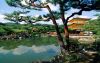 building-city-wallpaper-1499.thumb.jpg.576acb48435a0a5cecd467d20e3c4dfa.jpg