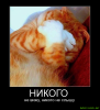 ca8db704e414c8625fa9570803337780.thumb.png.cb3053eea2e51eab4c6ec221d71cc848.png