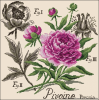 image.png.ad0025f658d11b14f13043613fb3eb0f.thumb.png.25fe54a2c1f36cd9a72dcc0f6182335b.png