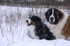image.thumb.jpeg.d65c756f84413b6b7d85e919ce0f0593.jpeg