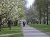 park-irkutsk.thumb.jpg.c7c9fb7863897becbdde6c1e503e00f0.jpg