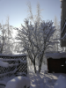 untitled2.thumb.png.b8a9bddcf75ab7ce32d4429f9ce78101.png