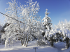 untitled3.thumb.png.5a08c8722436b7bc180a79409aa740b5.png