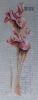 1.thumb.jpg.cc112a7cdc087e96628dbbbfa93e3fd8.jpg