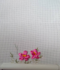 1001.thumb.png.a514b597a4aece3e4fdee0280eeebb73.png
