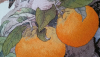 1001.thumb.png.cc668109b30eb2bce4a12403dce46521.png