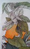 1004.thumb.png.97cb52835a269d308c84cc8254d48c41.png