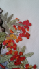 1005.thumb.png.c3bb8914f64e30ae1044b2e7f28958f1.png