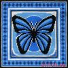 10519.thumb.jpg.cf331396c38f3480ec84ae800f9326fc.jpg